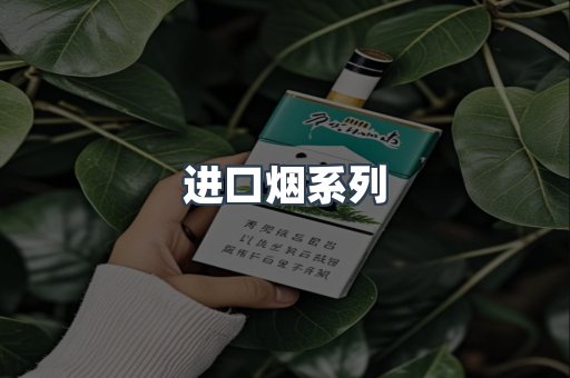 进口烟系列